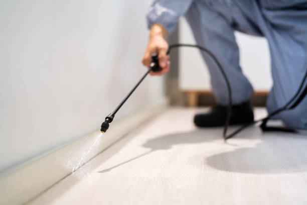 Licensed Cockroach Control service in Hawthorne, FL - Nex Pest Control