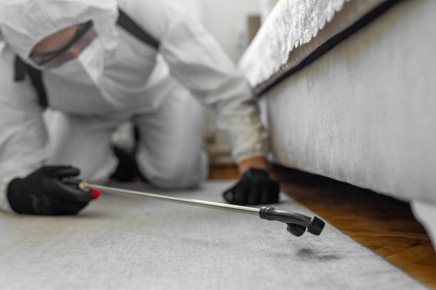 Professional Cockroach Control technician working in Hawthorne, FL