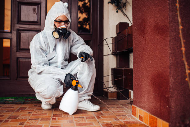 Reliable Cockroach Control contractor in Hawthorne, FL by Nex Pest Control
