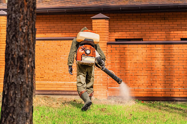 Top rated local Cockroach Control specialists in Hawthorne, FL